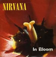 In Bloom cover art