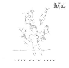 Free as a Bird cover art
