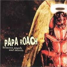Between Angels and Insects cover art
